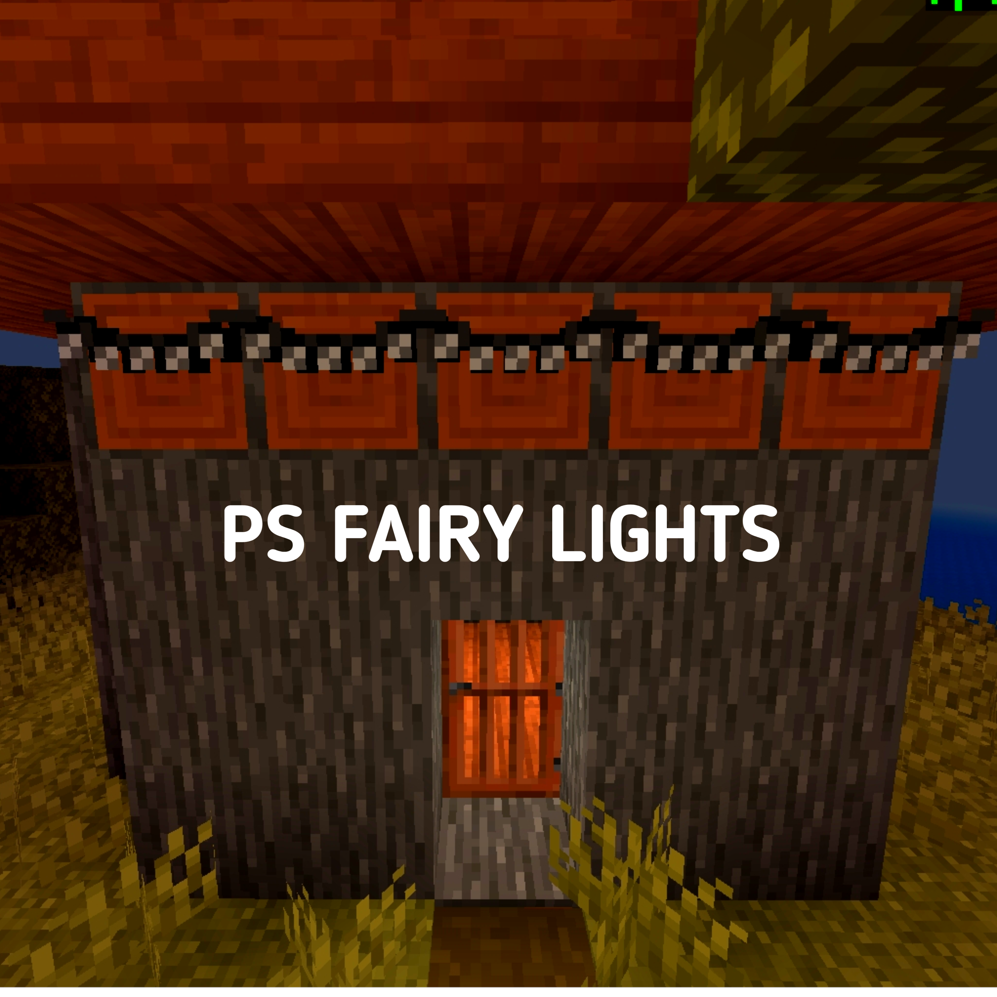 PS Fairy Lights
