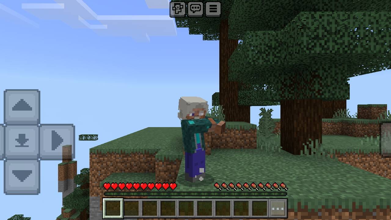 Upgrade Lite: Iron Skin — screenshot 4