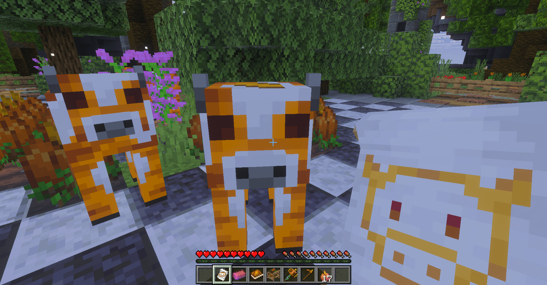 Pumpkomancy | Mini Pumpkin Expansion — screenshot 2
