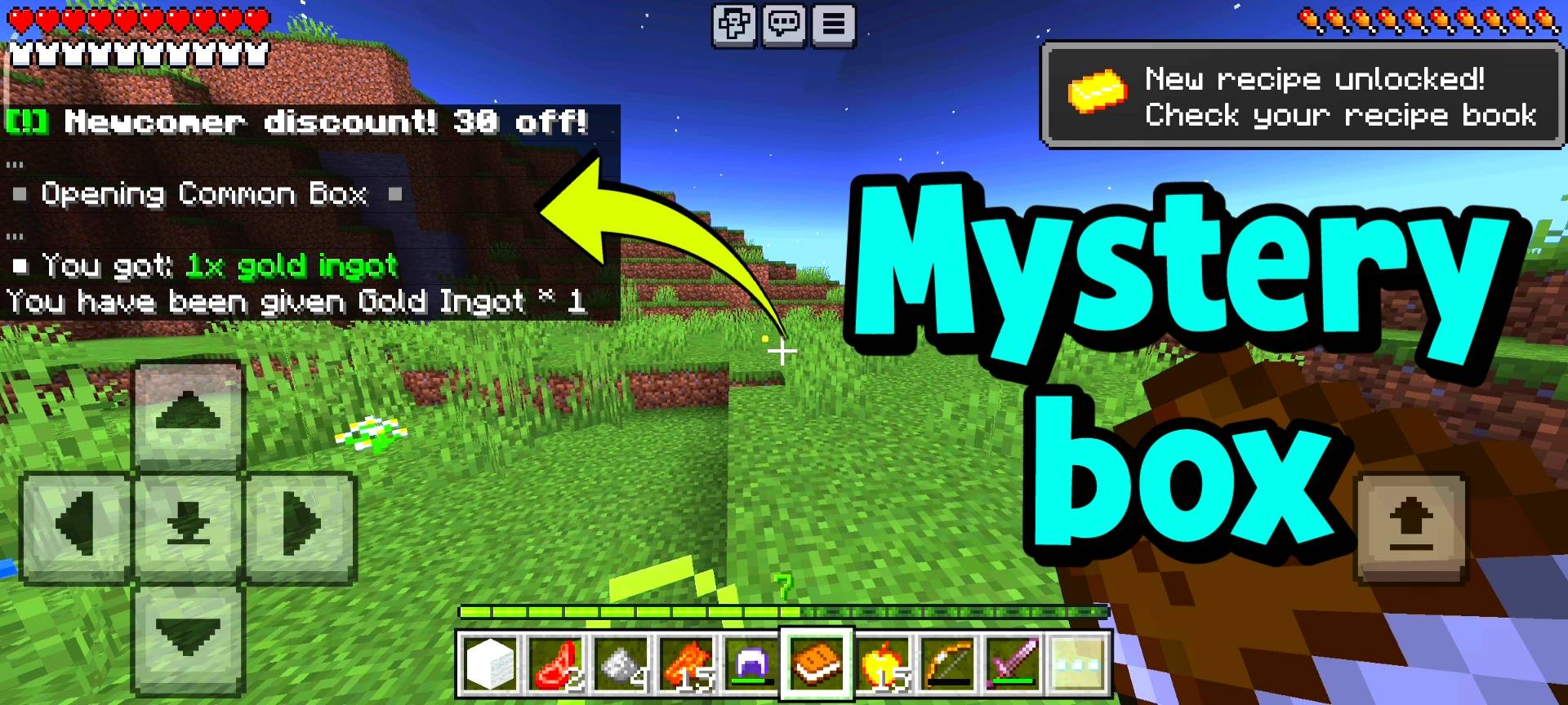 Voxel Bro Mystery Box — screenshot 1
