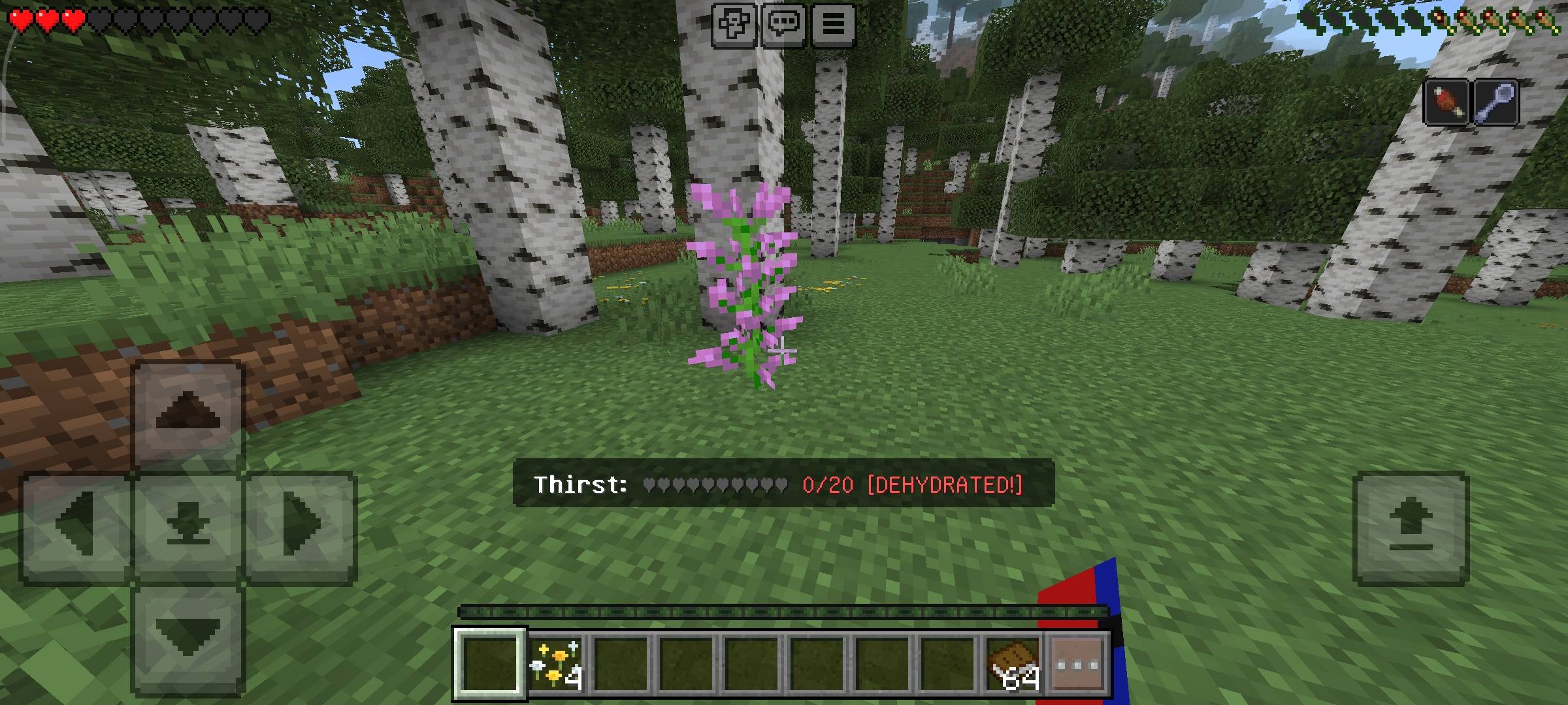 Thirst System - Survival Hydration — screenshot 5