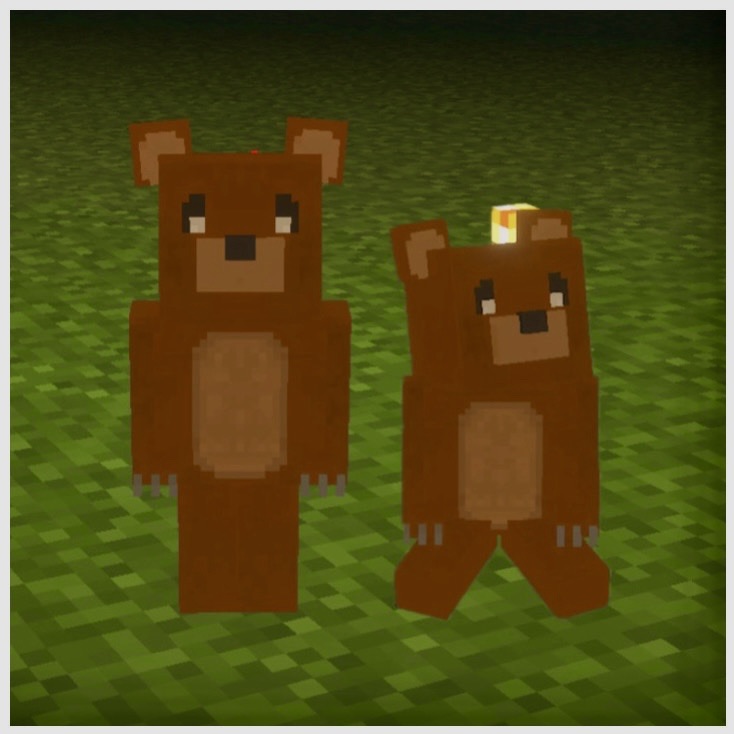 Little Bear Friend