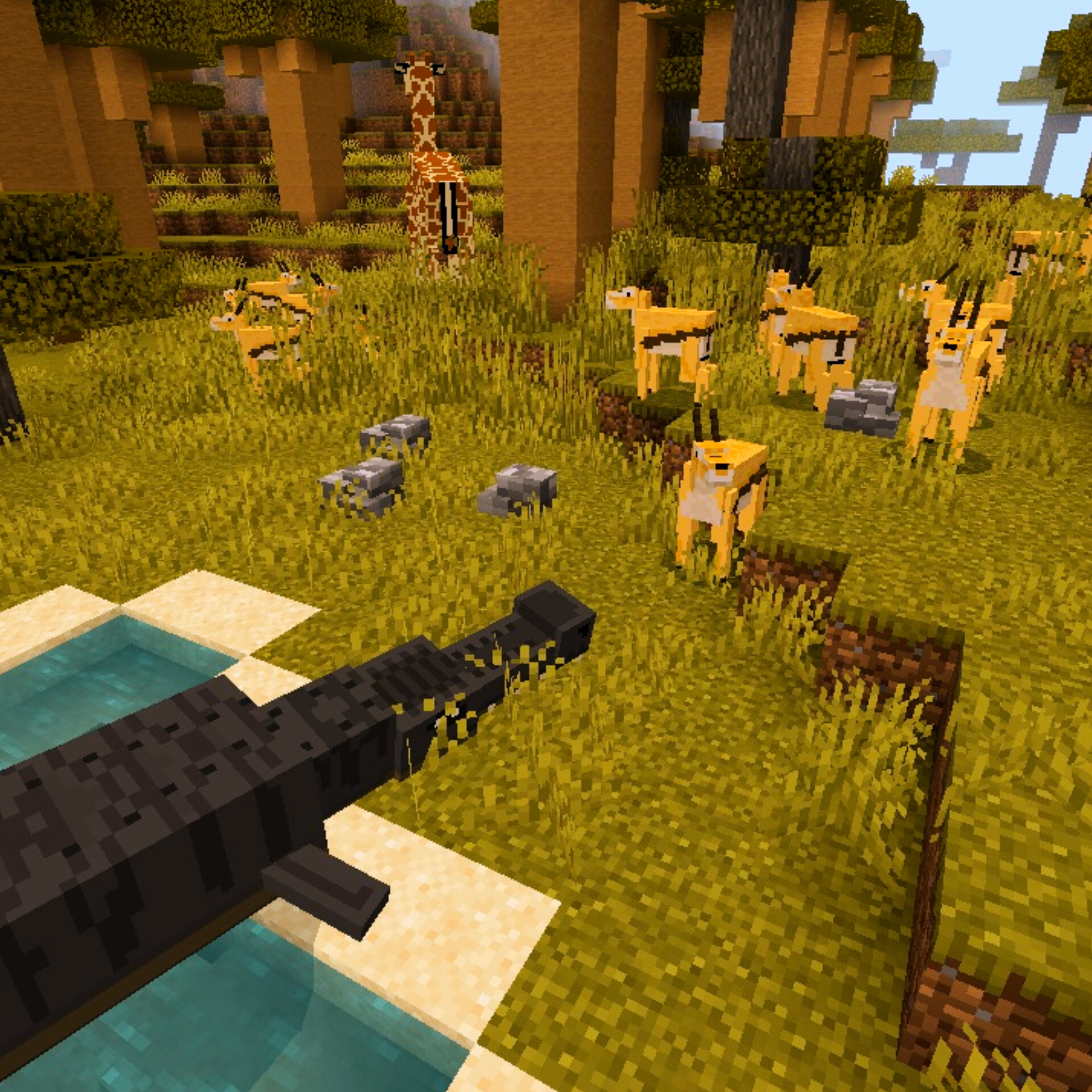 Wildlife SAVANNA — screenshot 2