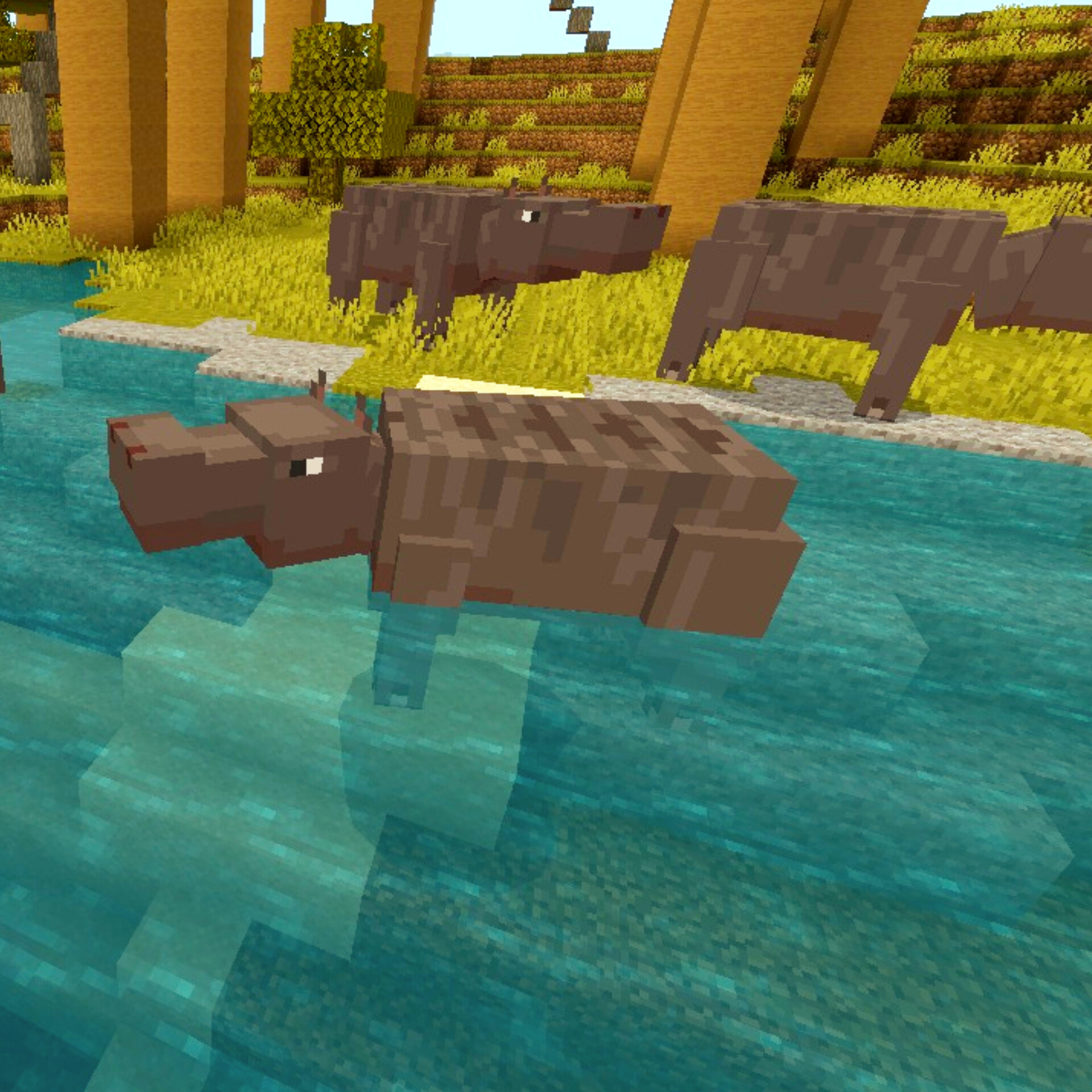 Wildlife SAVANNA — screenshot 3