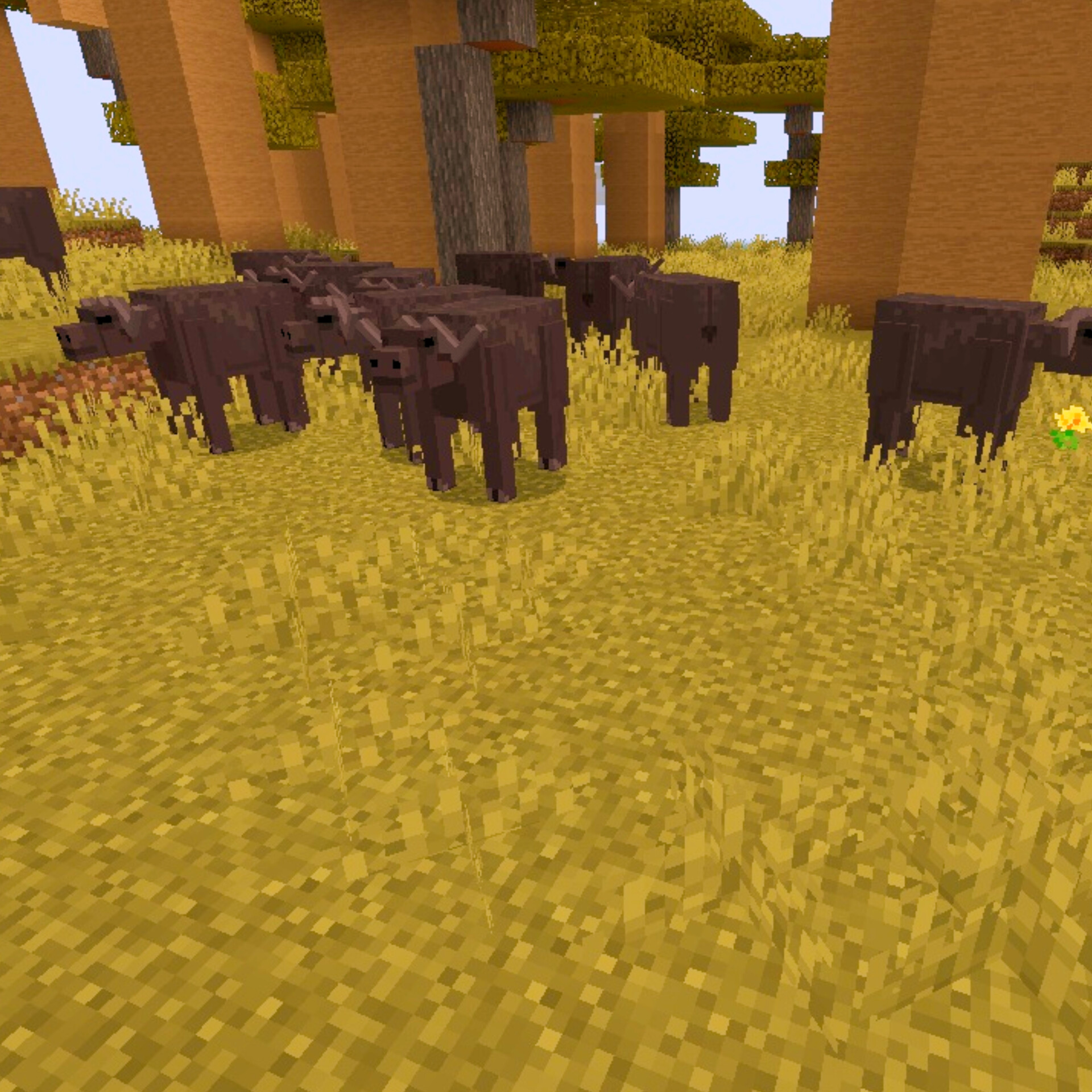 Wildlife SAVANNA — screenshot 5