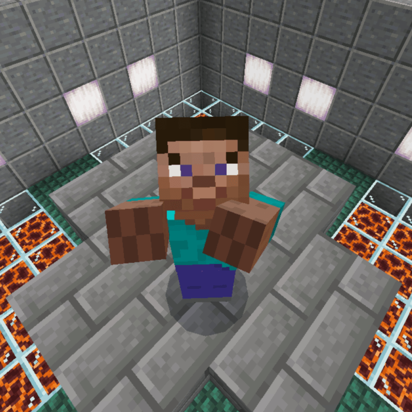 Steve and Player NPC ( by NFB ) — screenshot 1