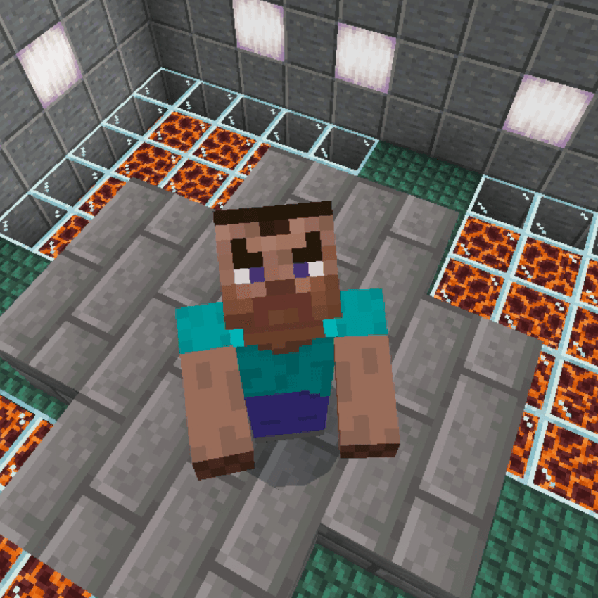 Steve and Player NPC ( by NFB ) — screenshot 5