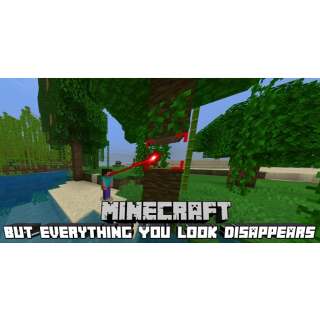 Everything You Look Disappears