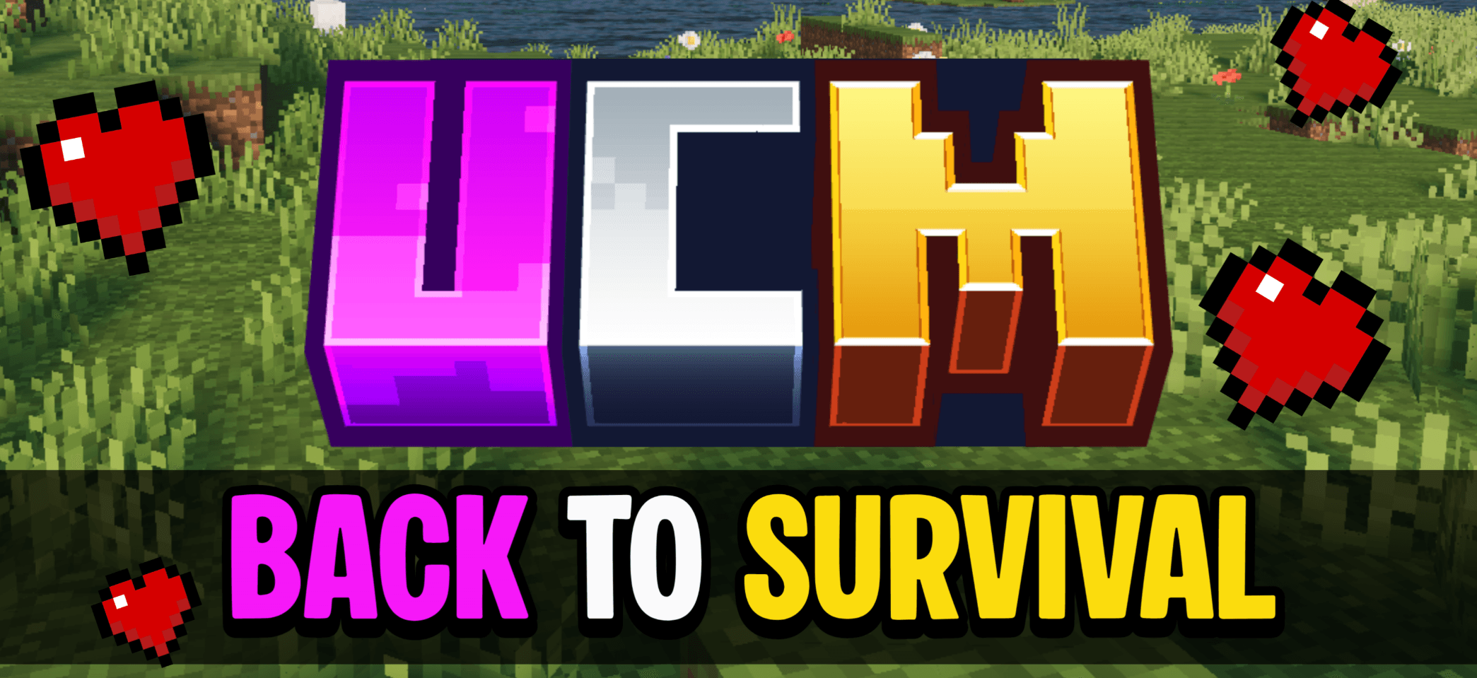 Back to Survival — screenshot 1