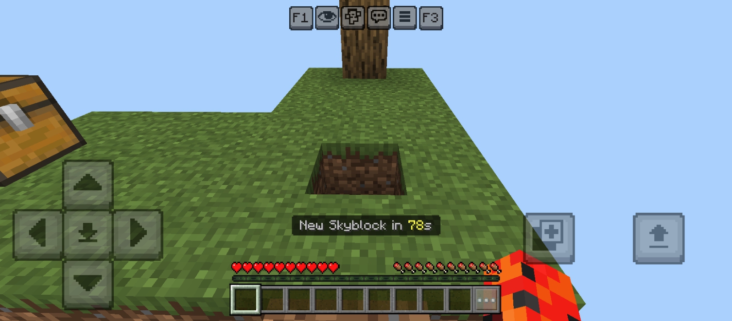 Random Skyblock — screenshot 2