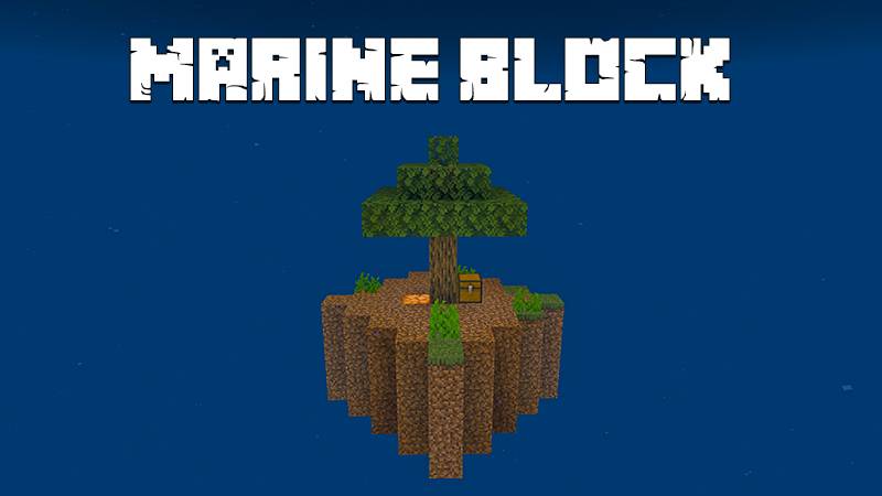 Marine Block — screenshot 1