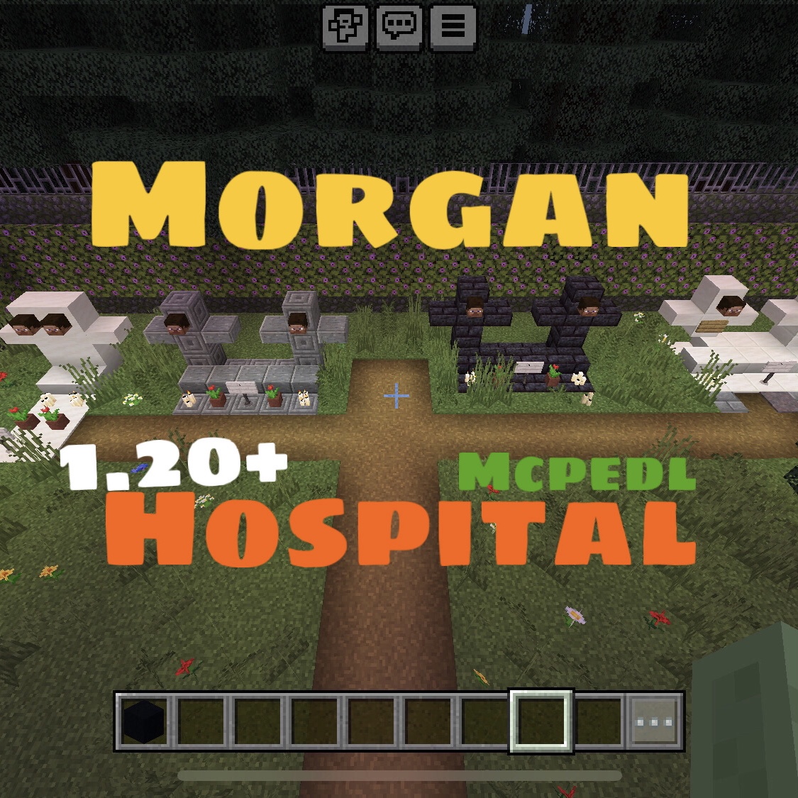 Morgan Hospital 