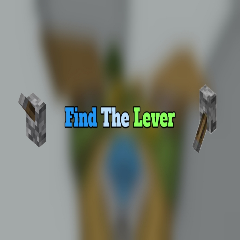 Find the Lever