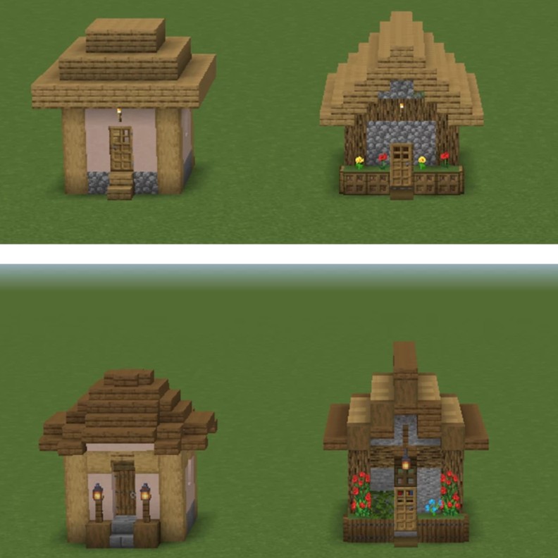 Every Village houses Redesigned