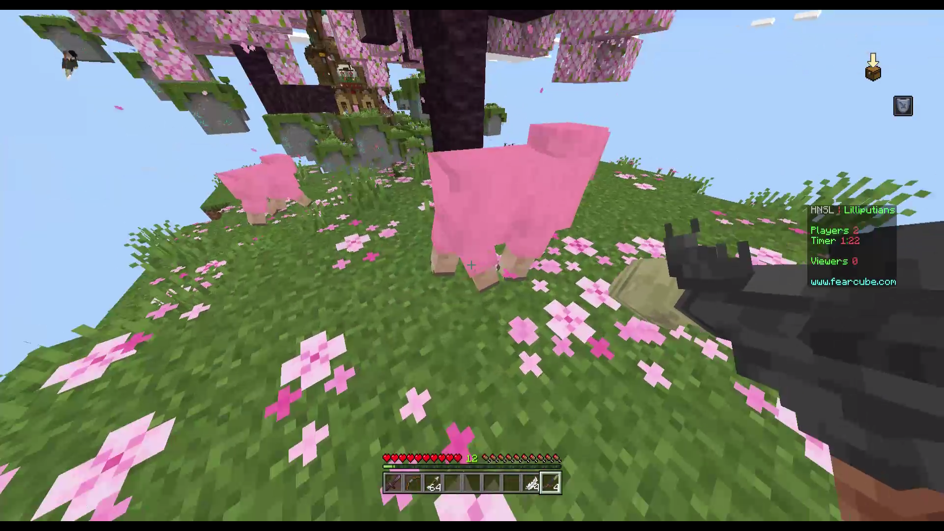MyServer (Pro MiniGames) — screenshot 5