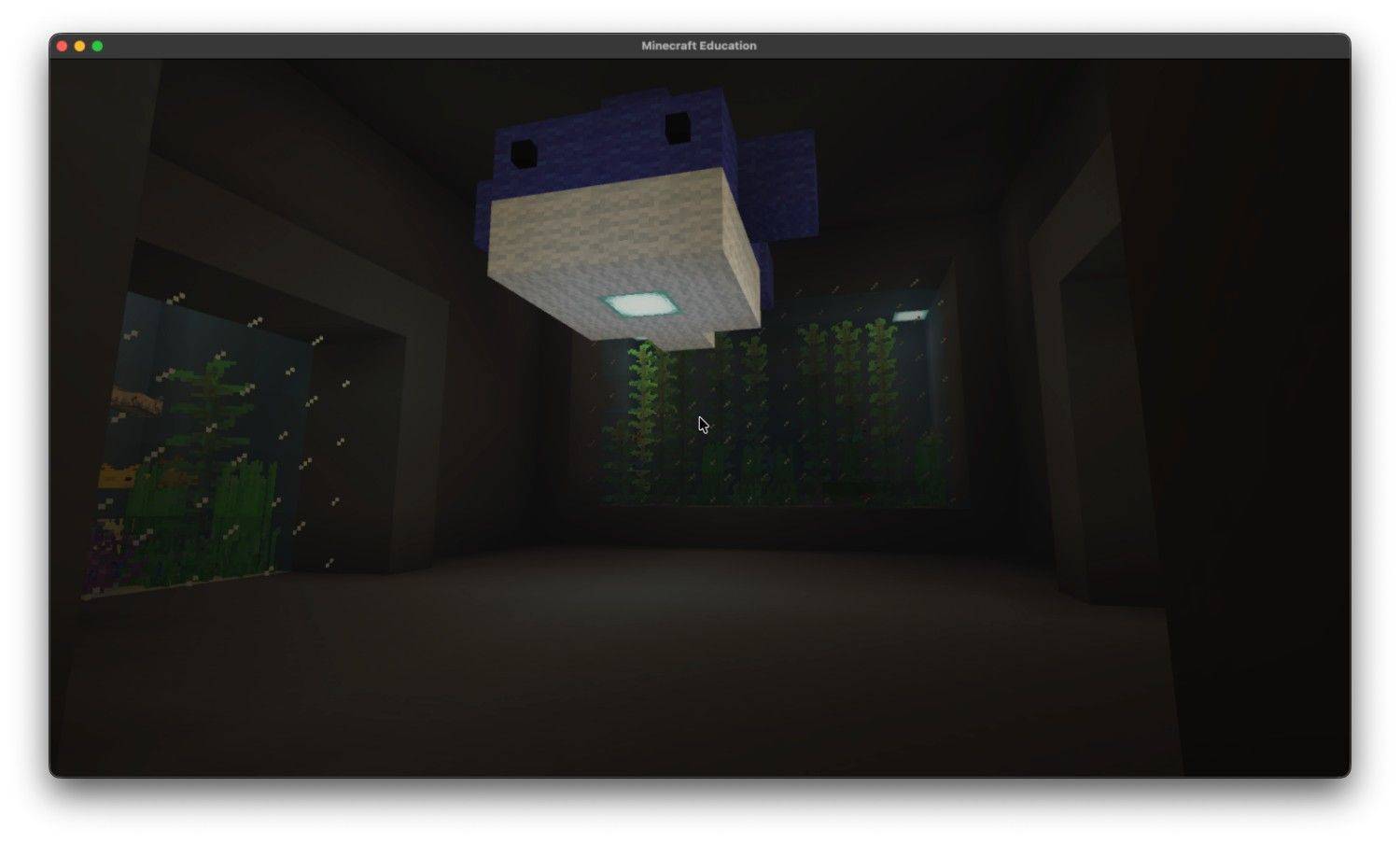 Zoo! — screenshot 1