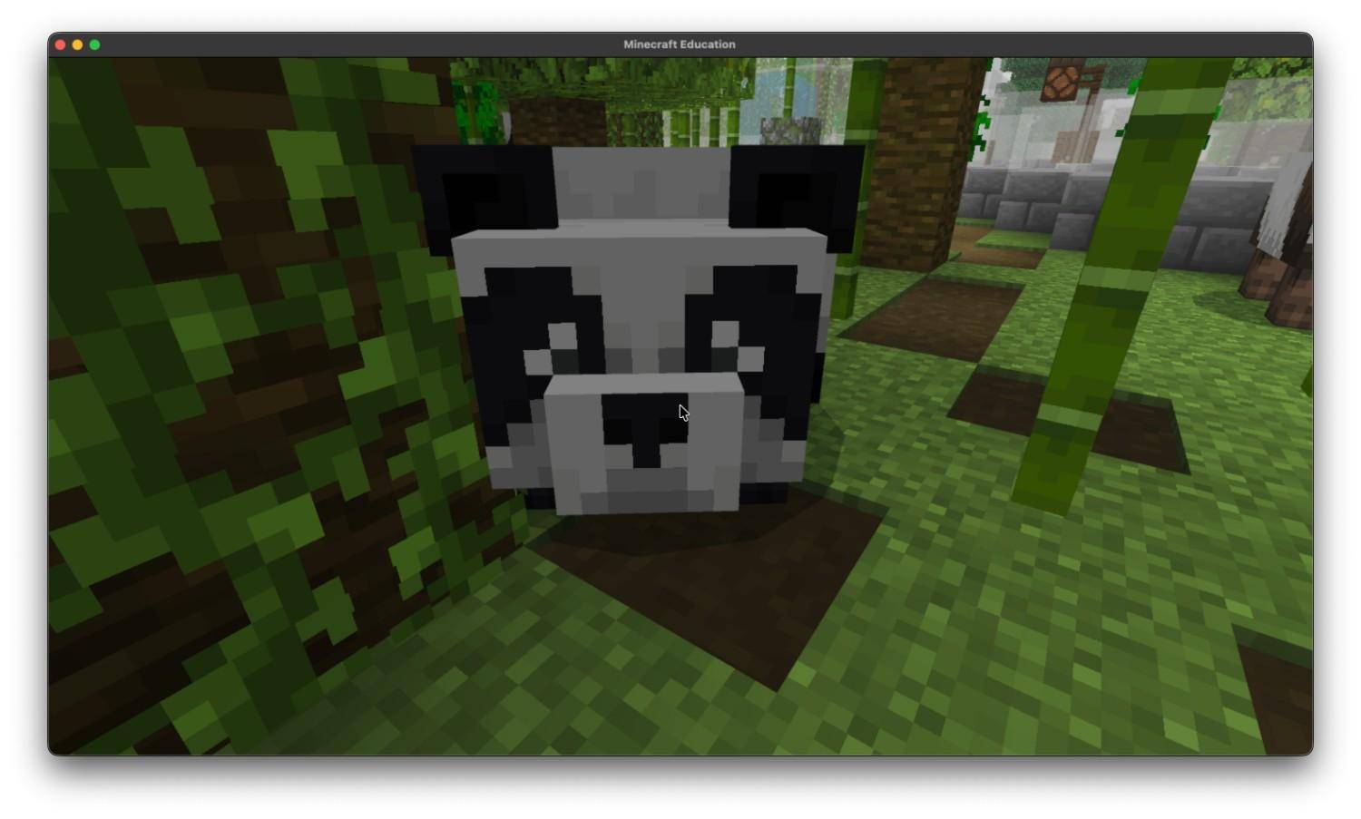 Zoo! — screenshot 2