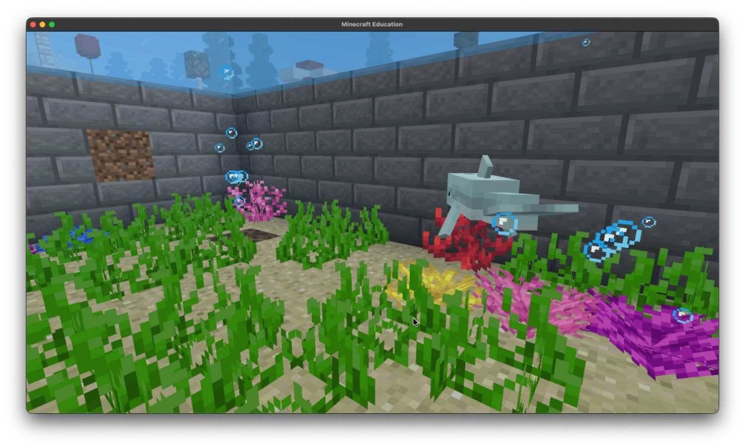 Zoo! — screenshot 3