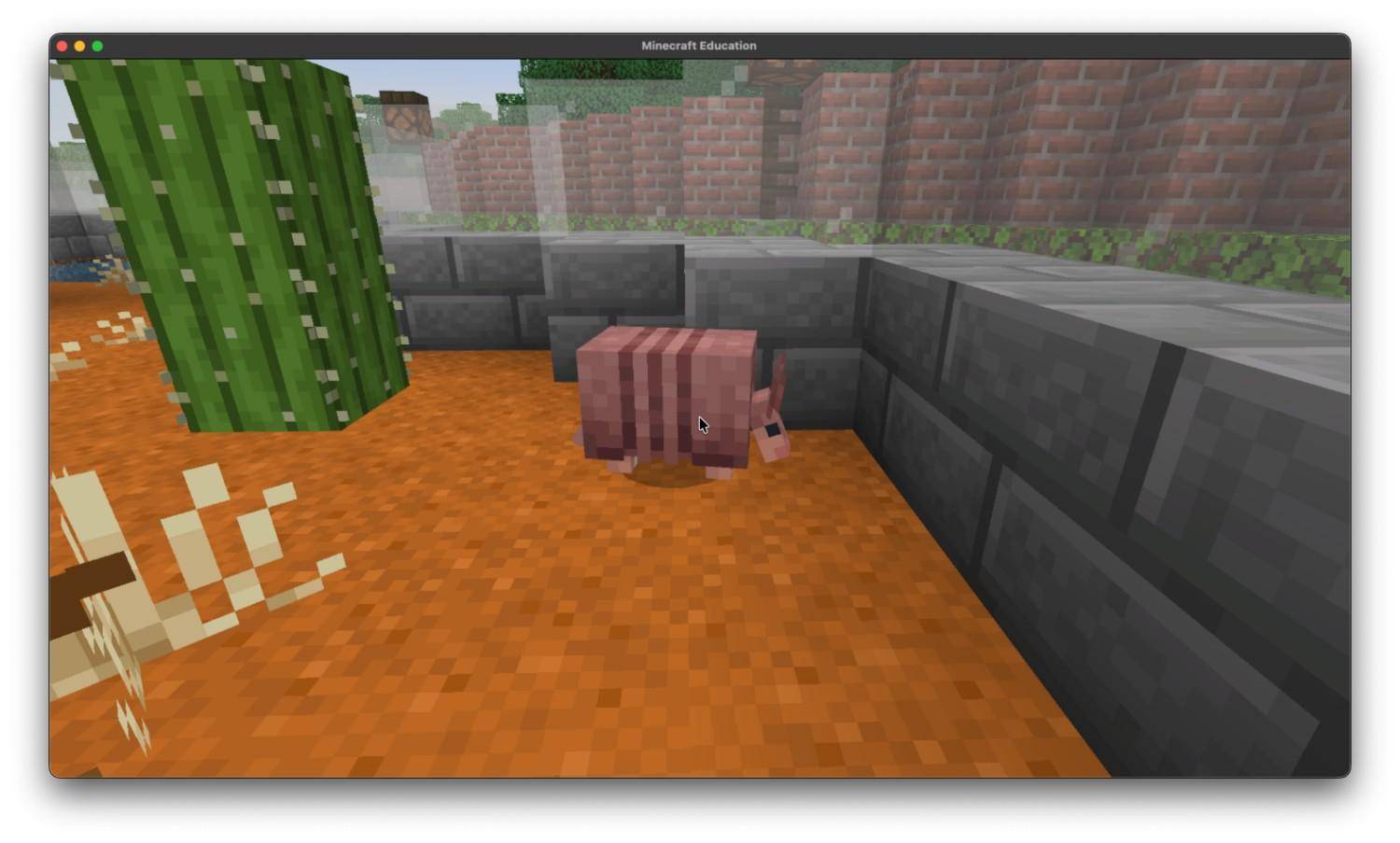 Zoo! — screenshot 4