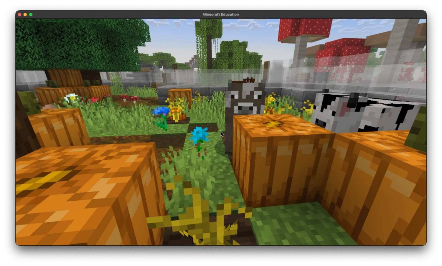 Zoo! — screenshot 8