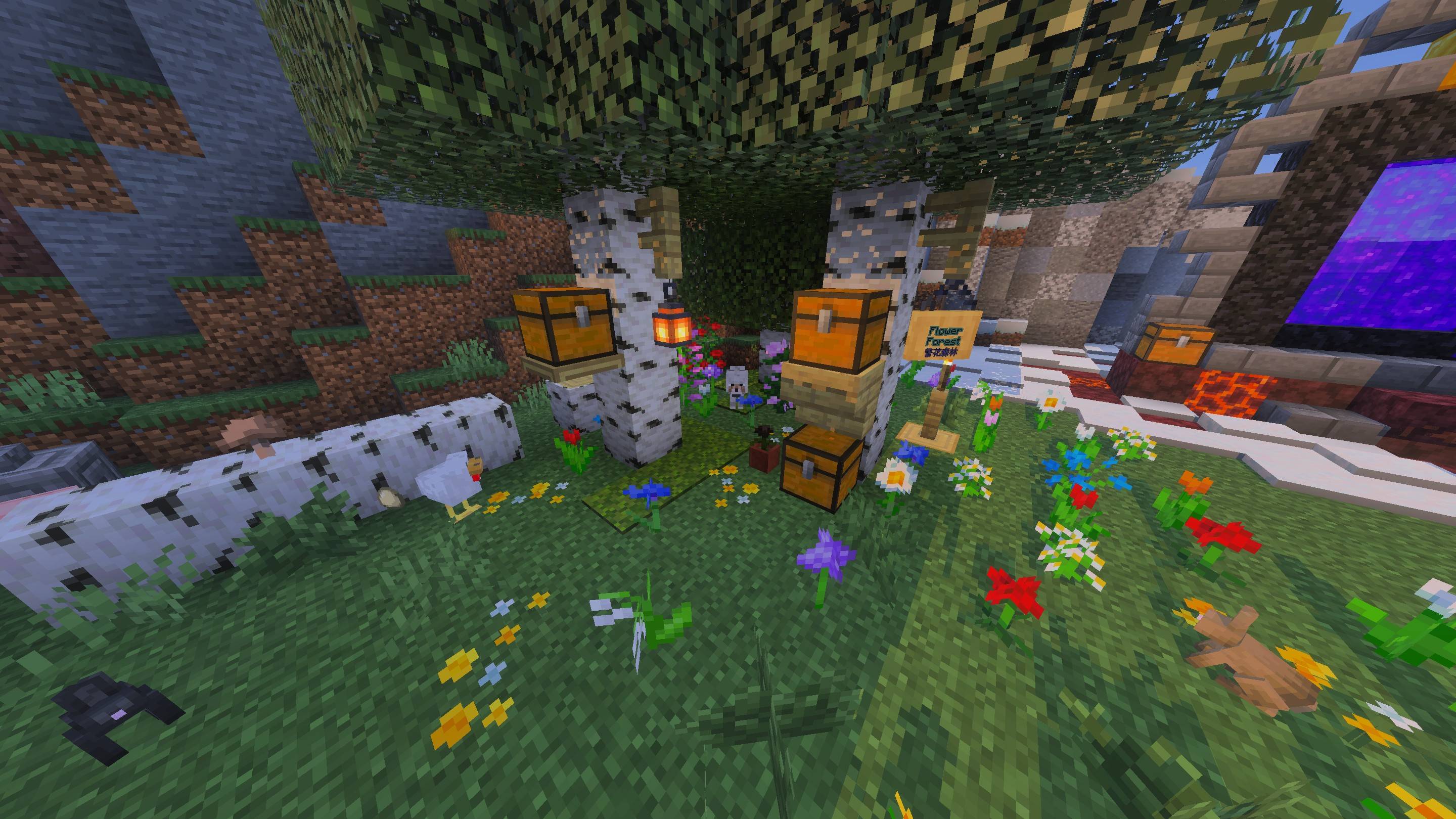 Resource pack display map — screenshot 6