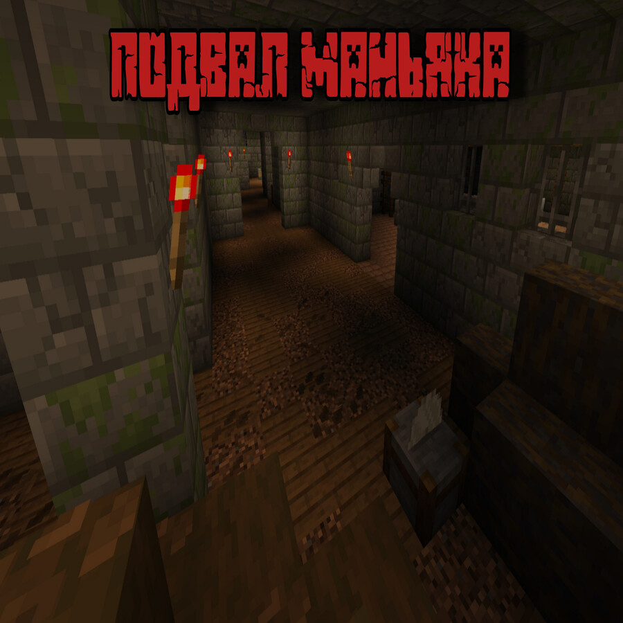 Basement of the maniac
