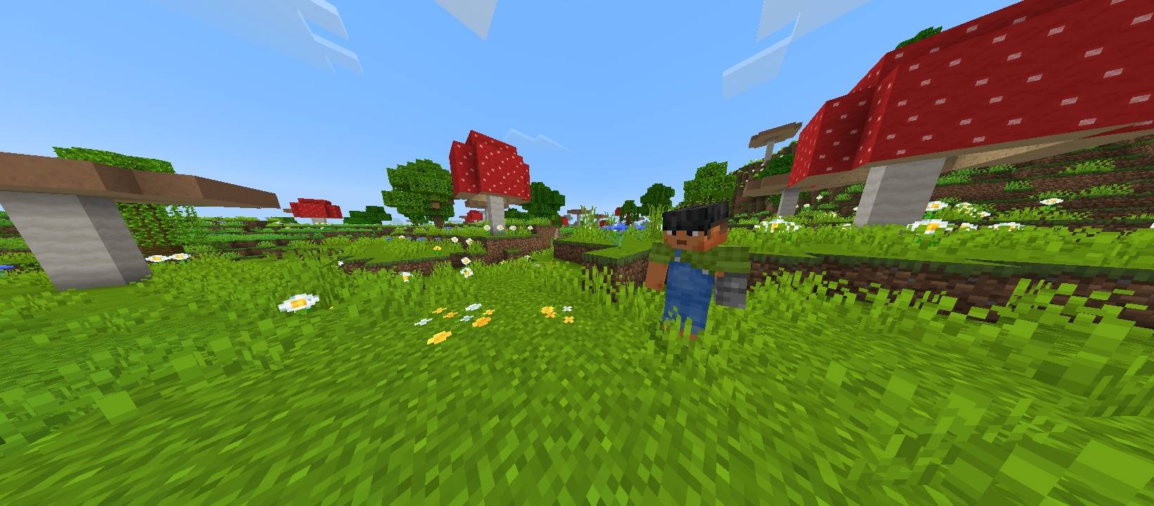 Magnific Regions addon — screenshot 2