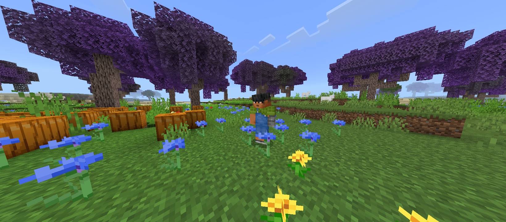 Magnific Regions addon — screenshot 3