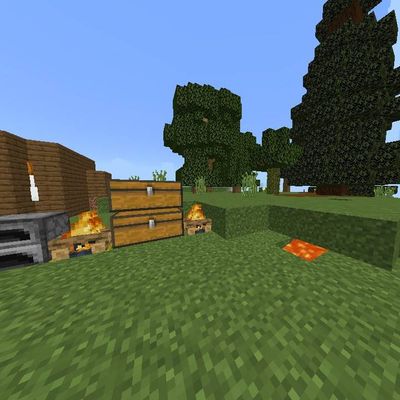 Reality Incomplete Survival World
