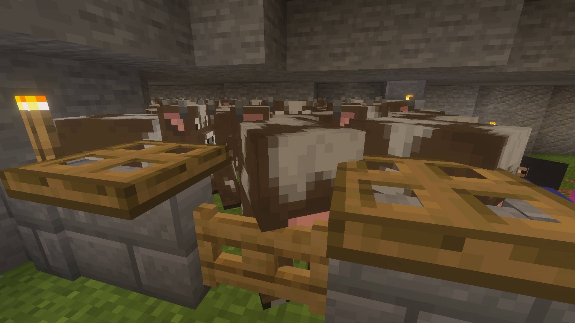 Legit Survival | Secret Base 2 — screenshot 8