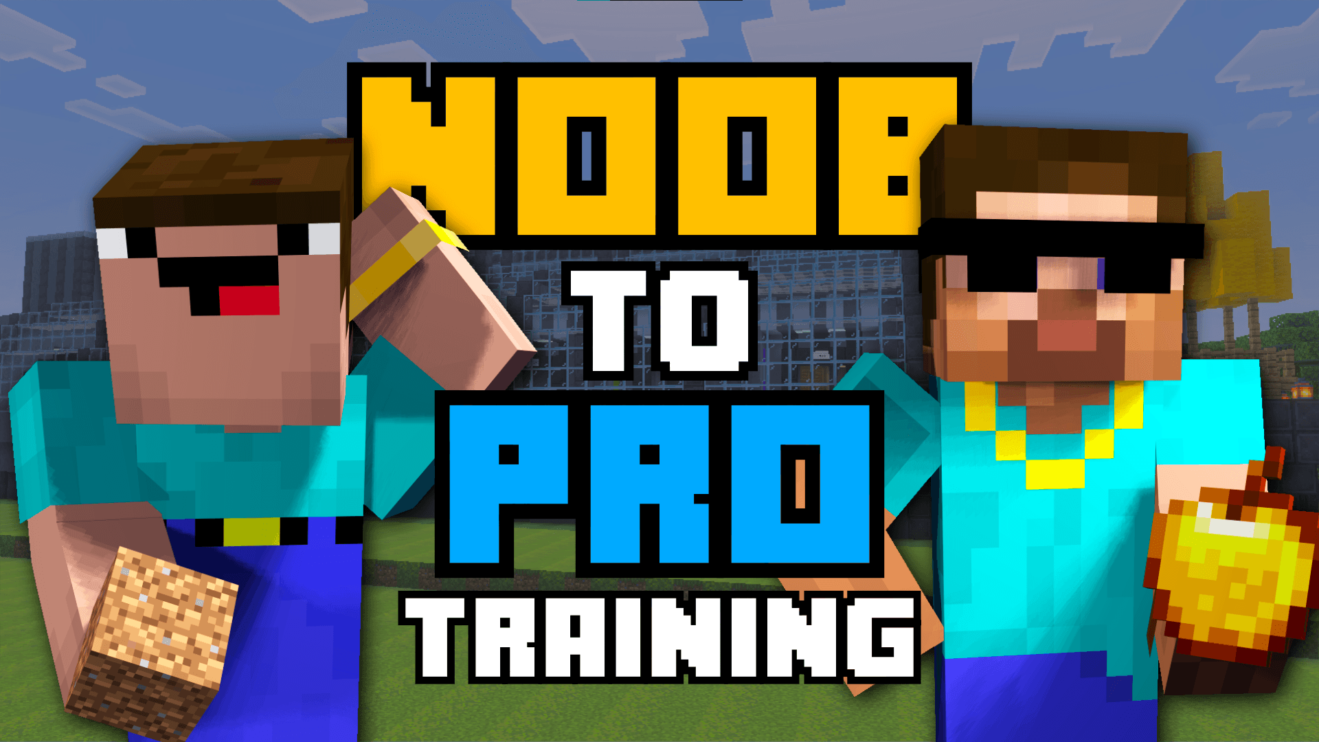 NOOB to PRO training — screenshot 1
