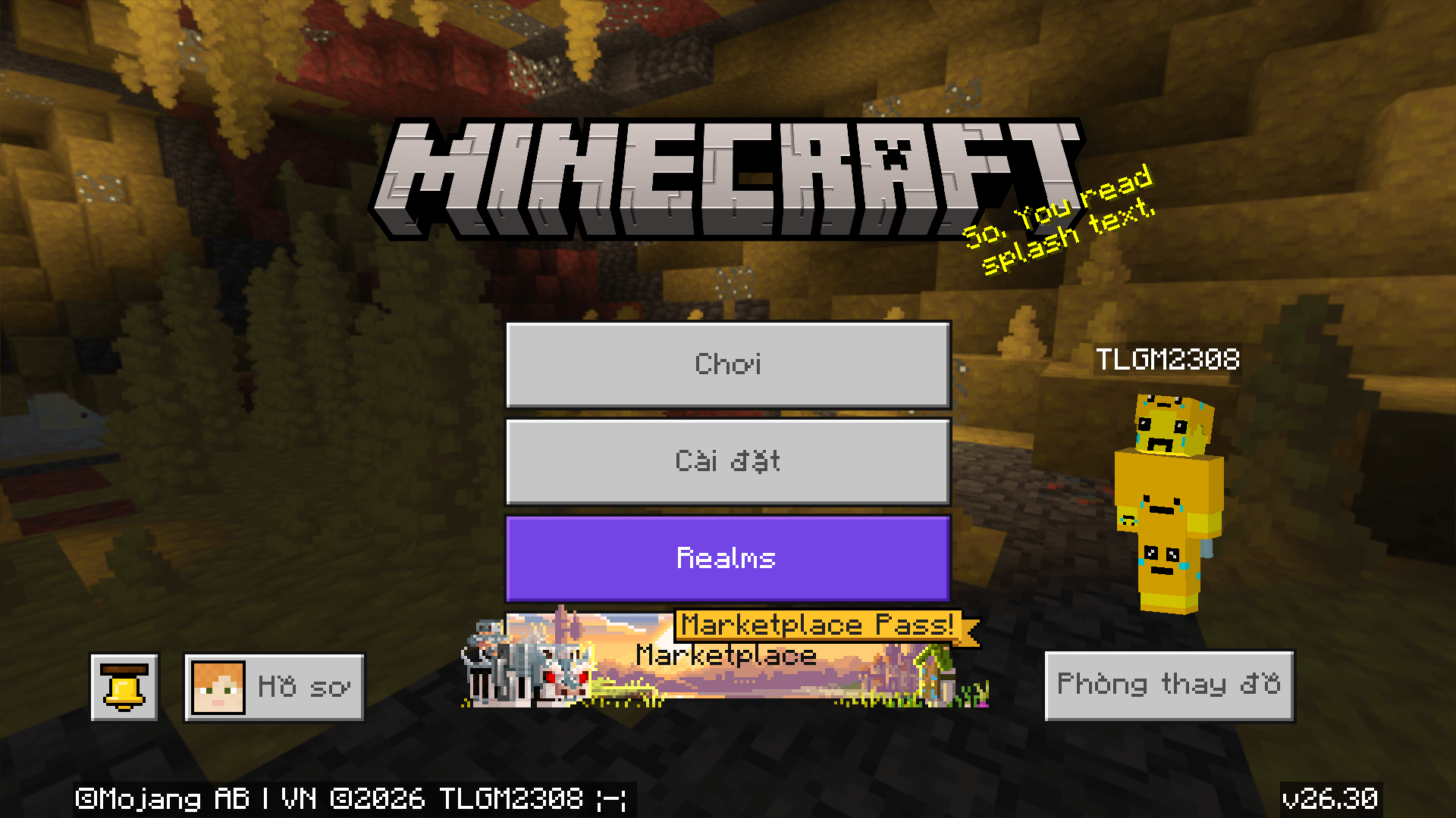 The Ty-el's Vietnamese Language Pack — screenshot 6