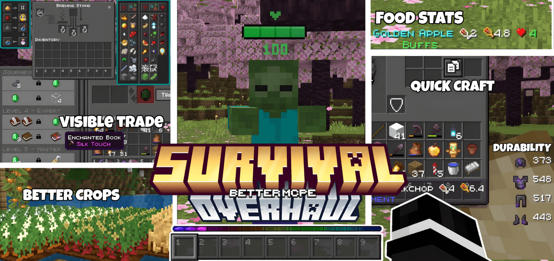 Survival Overhaul — screenshot 1