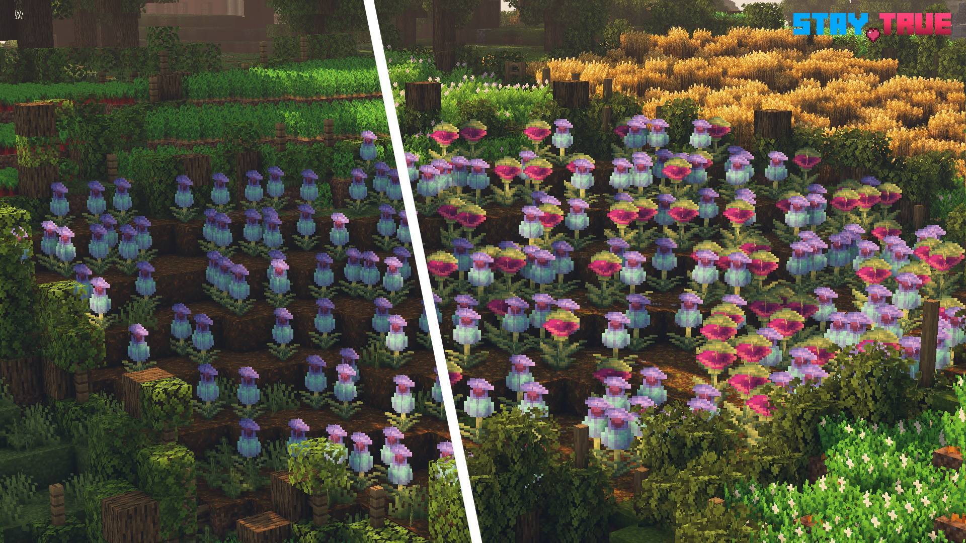 Stay True Bedrock — screenshot 4
