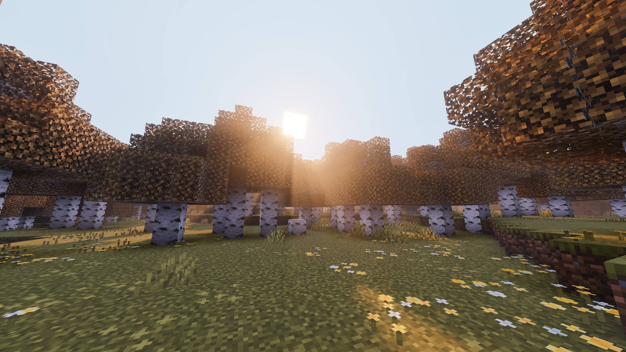 Pumpkin Spice Visuals — screenshot 5