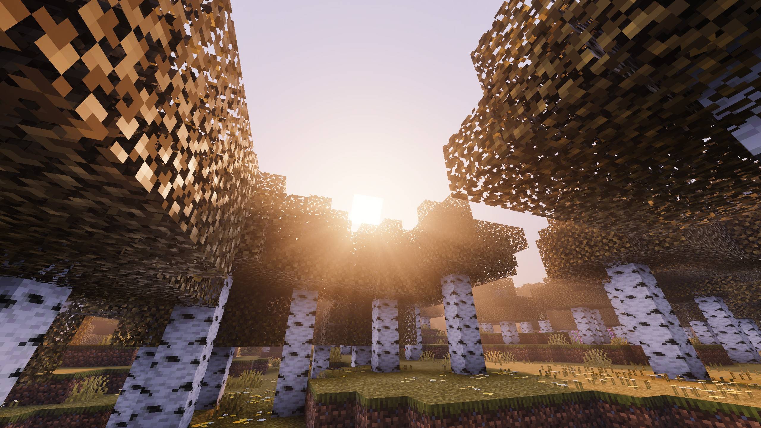 Pumpkin Spice Visuals — screenshot 8