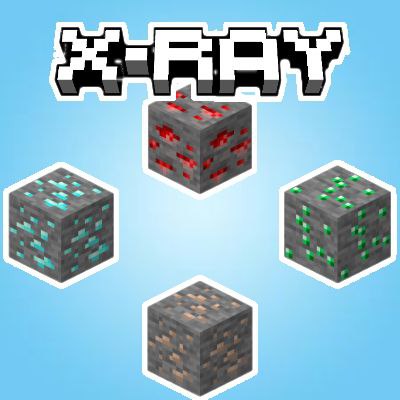 X-Ray by Reisho