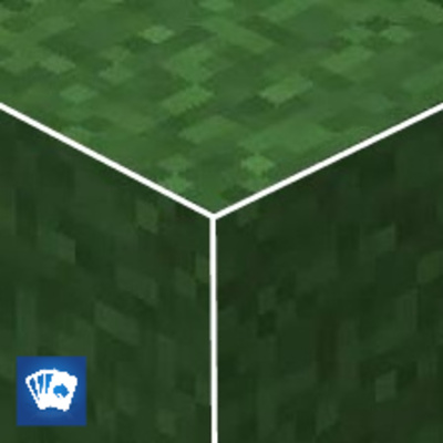 White Outline & Full Grass