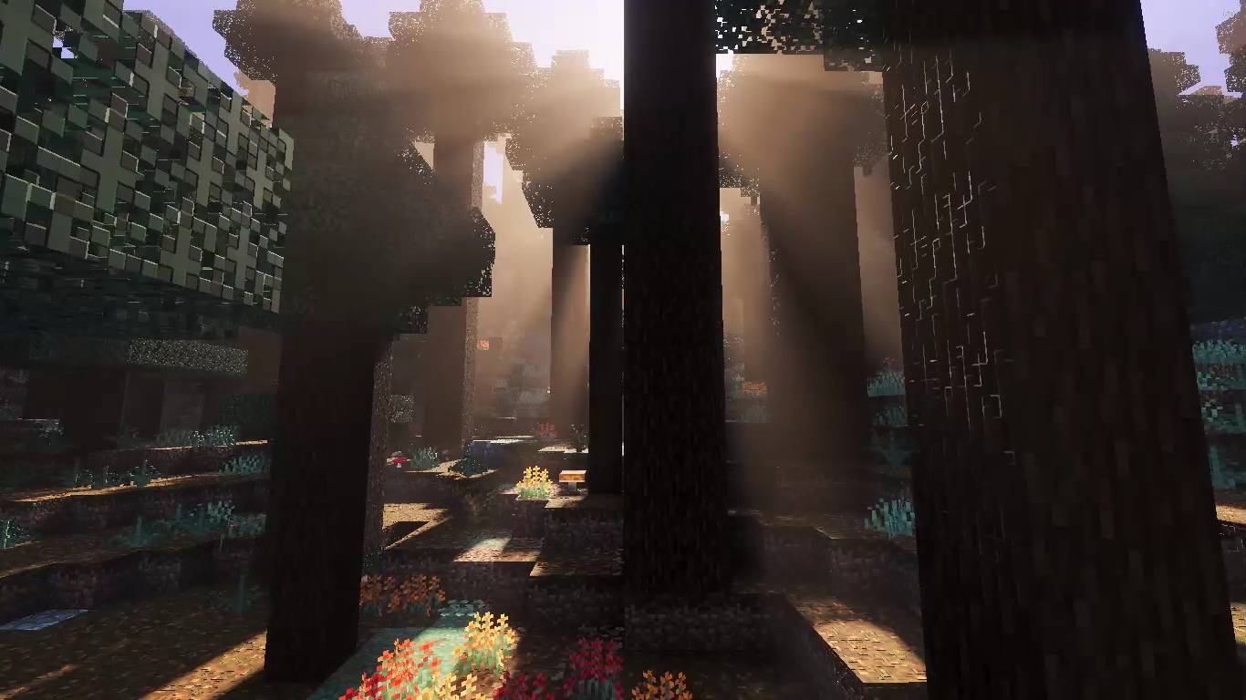 Lotiif visuals — screenshot 2