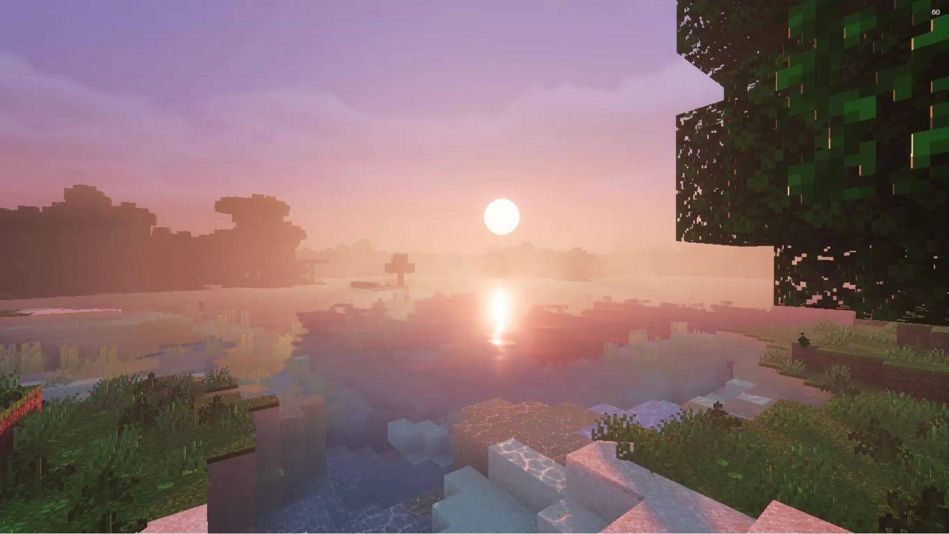 Lotiif visuals — screenshot 6
