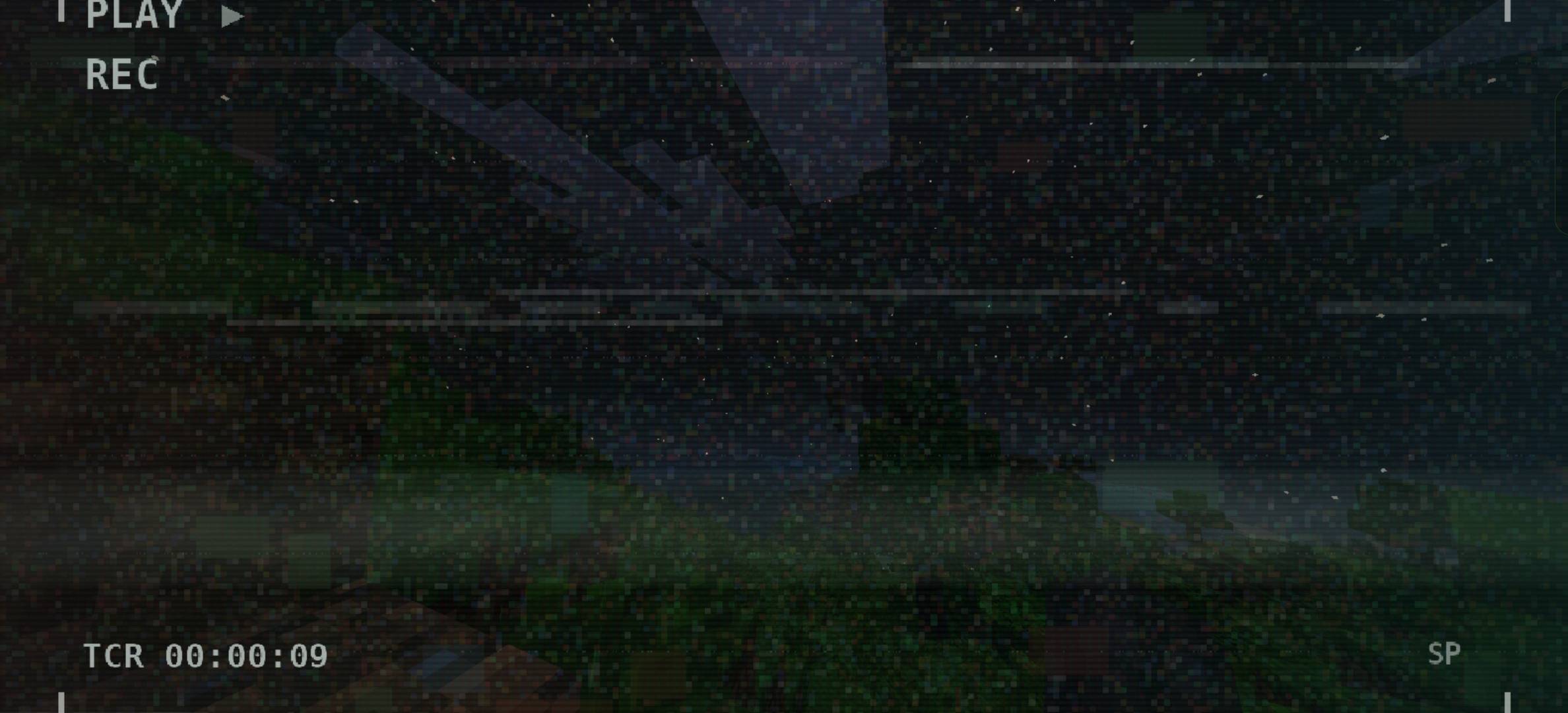 VHS filter — screenshot 8