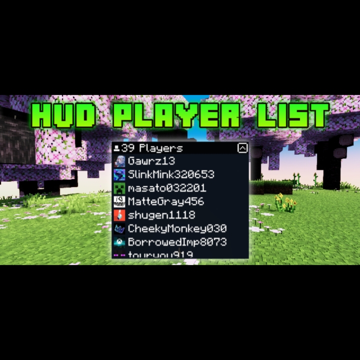HUD Player List