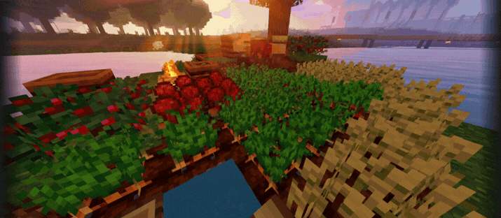 Ready Crop + — screenshot 1
