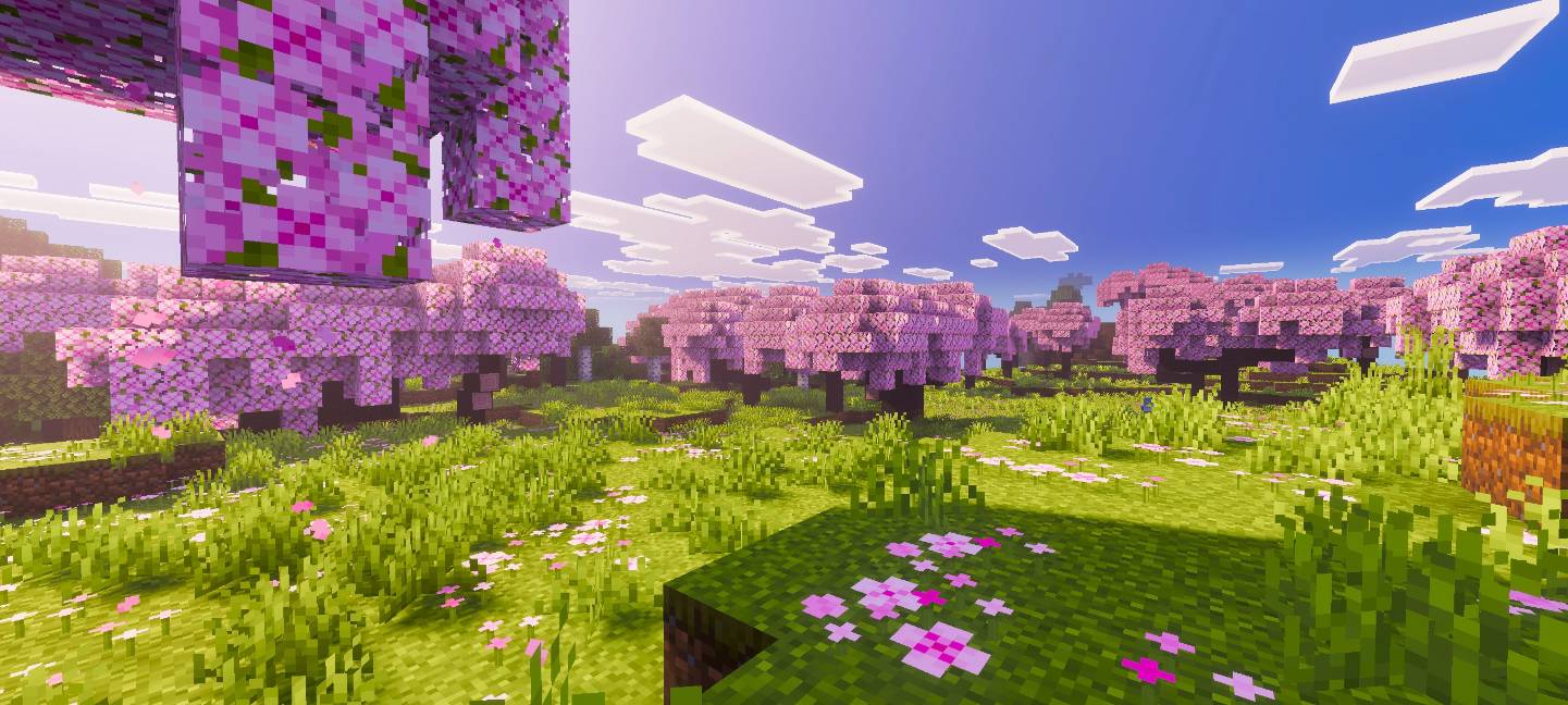 Relta Visuals — screenshot 2