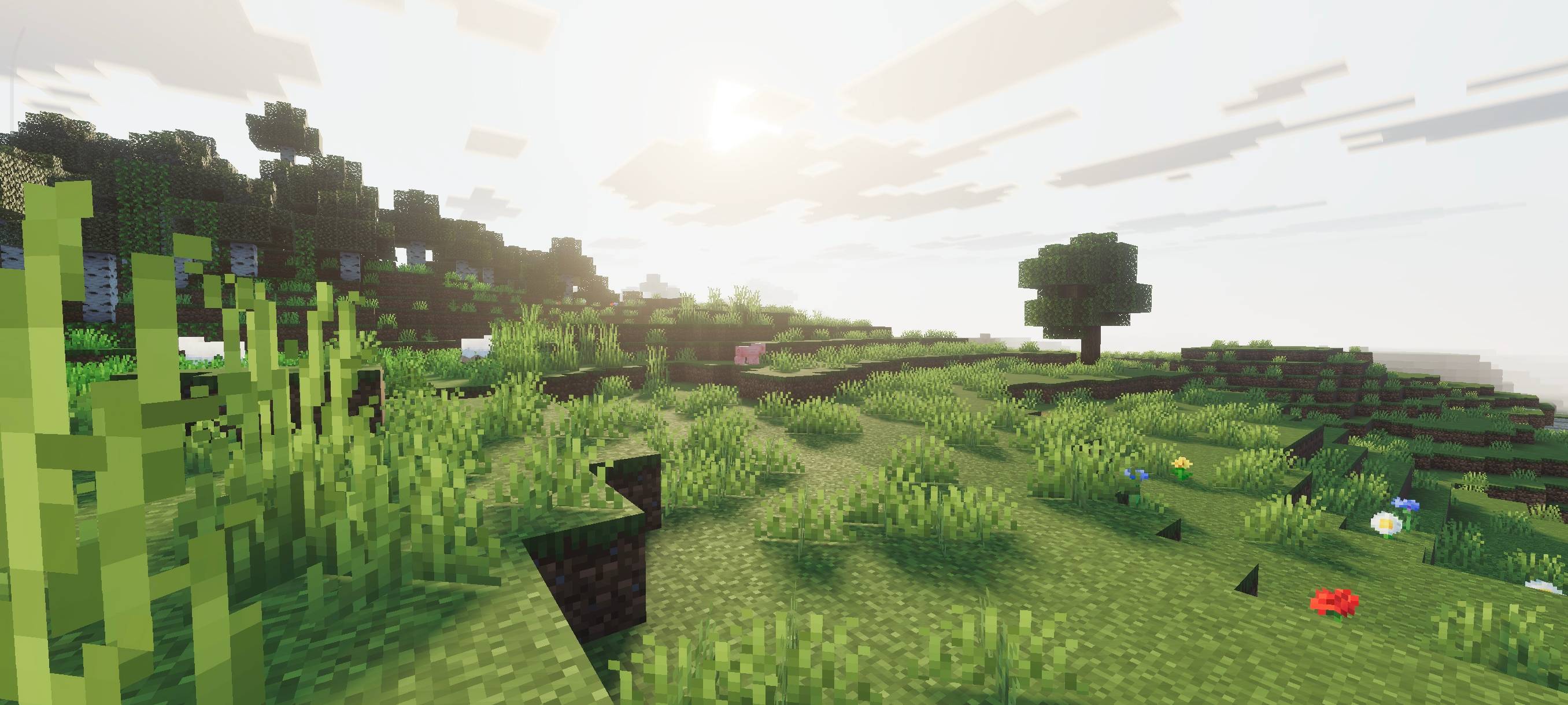 Zen Visuals — screenshot 2