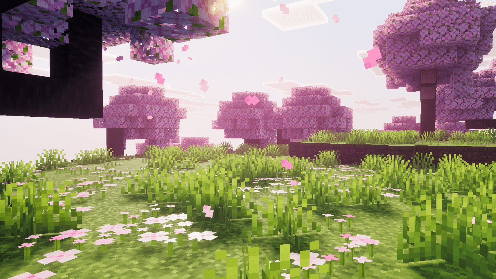 Lumina Visuals — screenshot 4