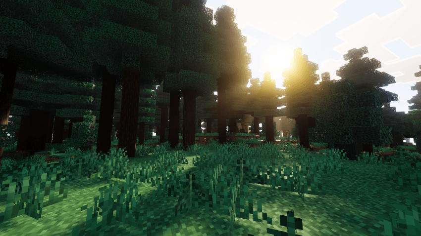 Velmora Visuals — screenshot 2