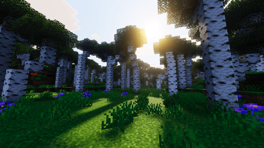 Velmora Visuals — screenshot 3