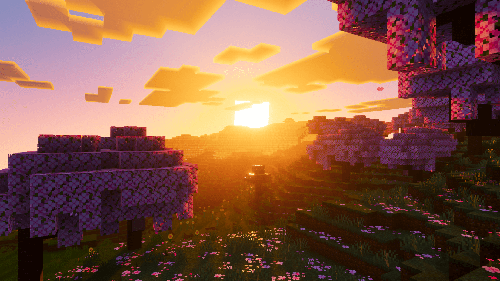 Velmora Visuals — screenshot 4