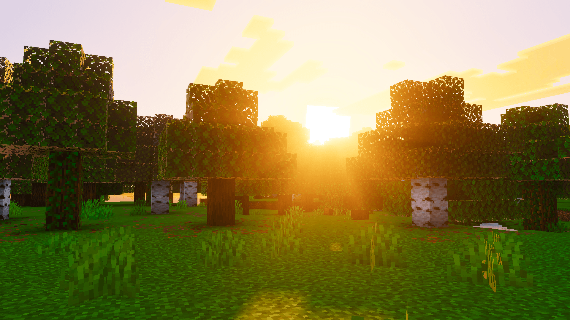 Velmora Visuals — screenshot 6